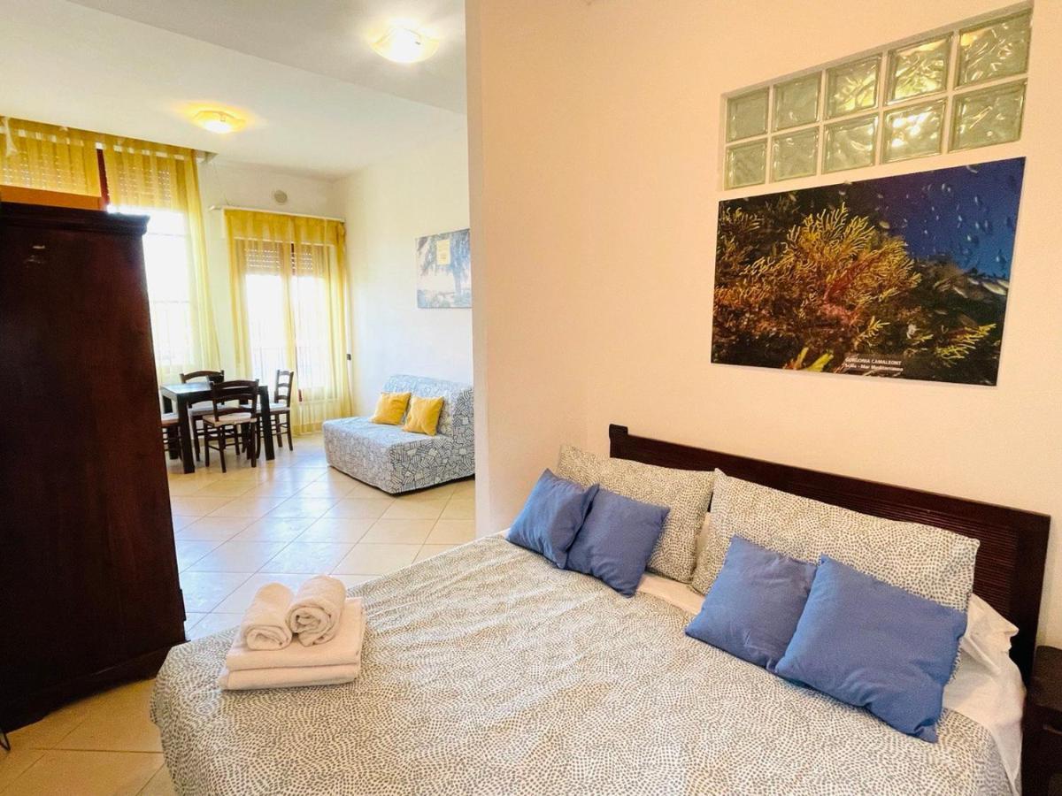 Regina Beach Holiday Apartments Tirrenia Exteriér fotografie