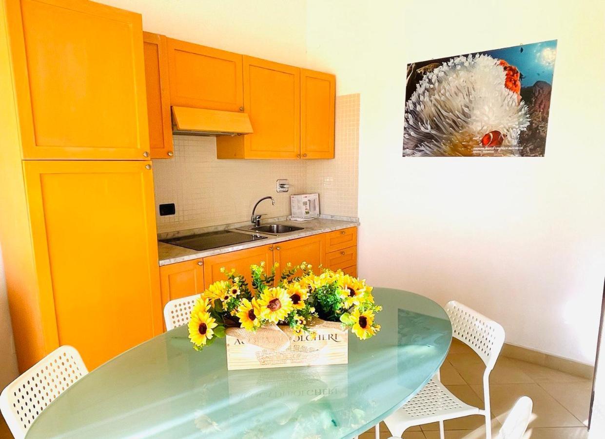 Regina Beach Holiday Apartments Tirrenia Exteriér fotografie