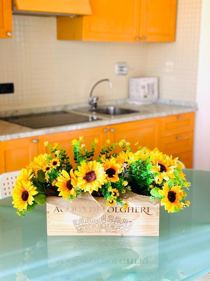 Regina Beach Holiday Apartments Tirrenia Exteriér fotografie