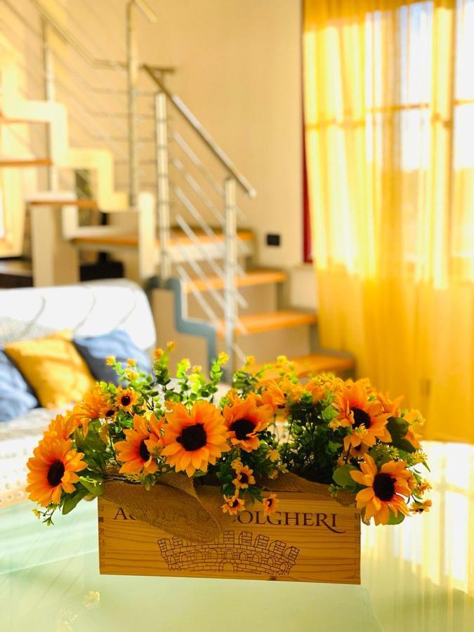 Regina Beach Holiday Apartments Tirrenia Exteriér fotografie